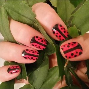 *host pick* 🐞LADY IN RED Jamberry Wraps